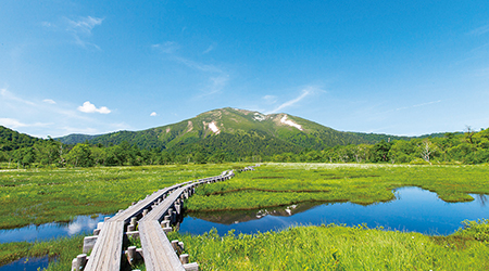 Ozegahara--the largest highland marsh on the mainland of Japan.