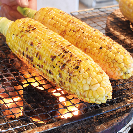 Grilled Corns Along the Road