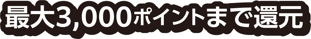 最大3,000ポイントまで還元