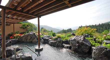 風の湯（夏）