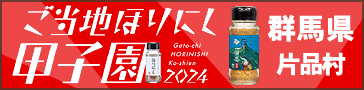 ほりにし甲子園群馬県片品村