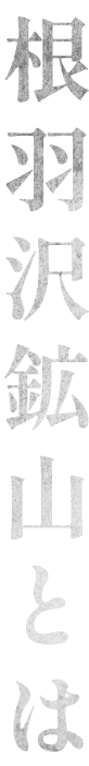 根羽沢鉱山とは