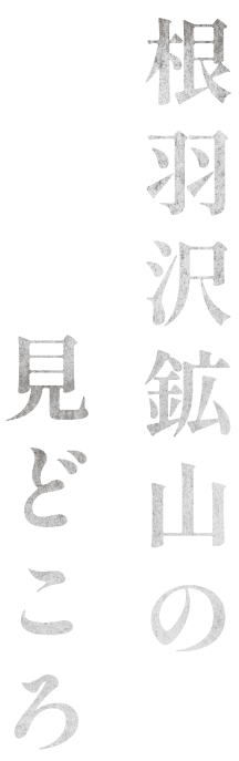 根羽沢鉱山の見どころ